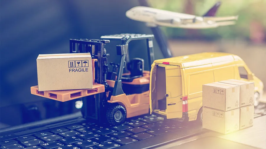 India's Import Restrictions: A Way Forward