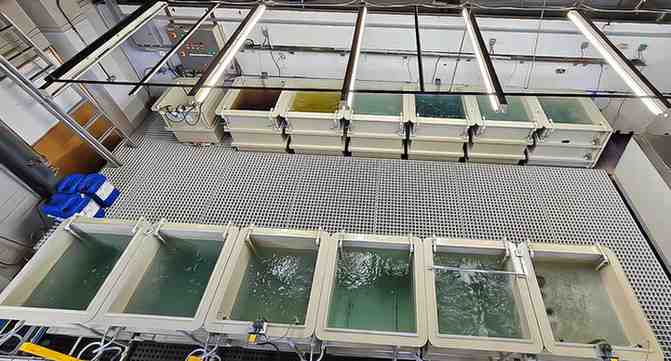 Captec Invests in Advanced Surface Treatment to Meet BR 3939 Warpaint Standards